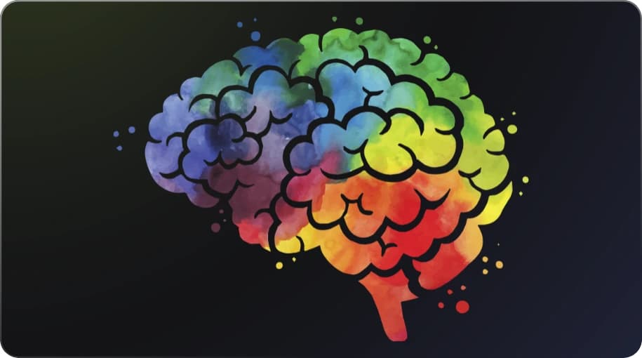 human brain ux psychology